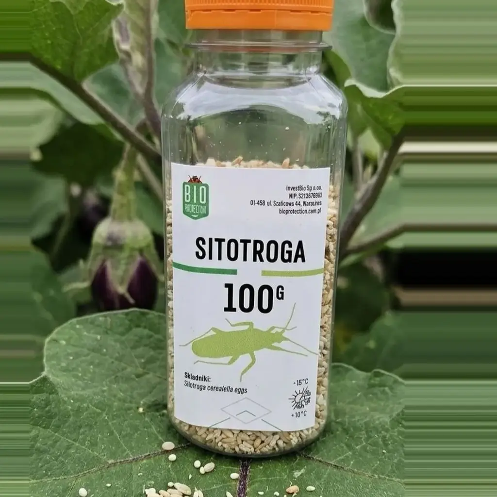 Pokarm dla owadów